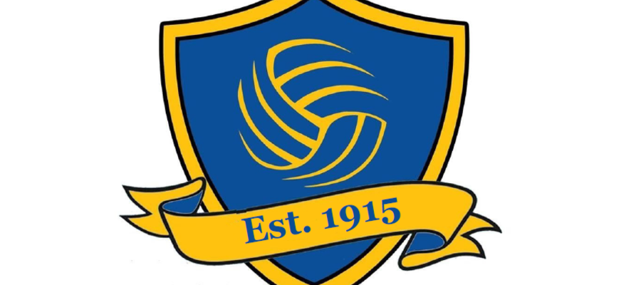 University Albion Netball